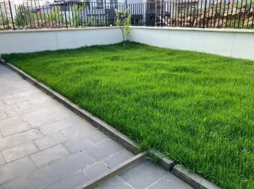 Antalya Çim Ekimi